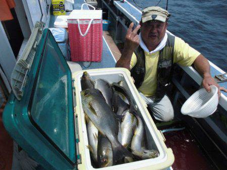 大進丸(愛知) 釣果