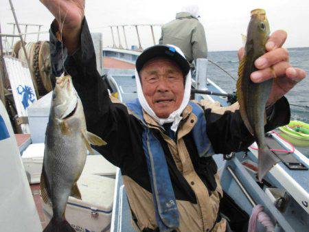 大進丸(愛知) 釣果