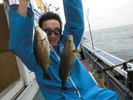 大進丸(愛知) 釣果