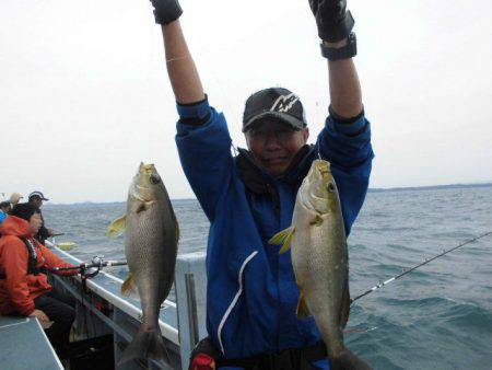 大進丸(愛知) 釣果