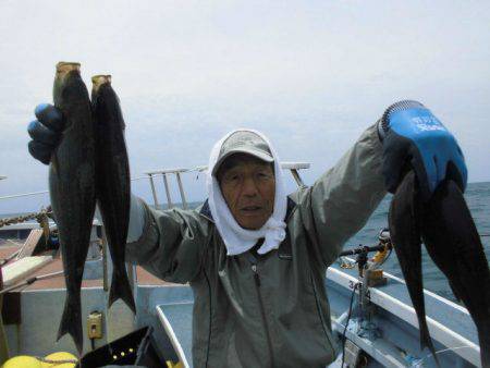 大進丸(愛知) 釣果