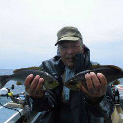 大進丸(愛知) 釣果