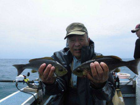大進丸(愛知) 釣果