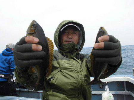 大進丸(愛知) 釣果