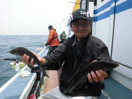 大進丸(愛知) 釣果