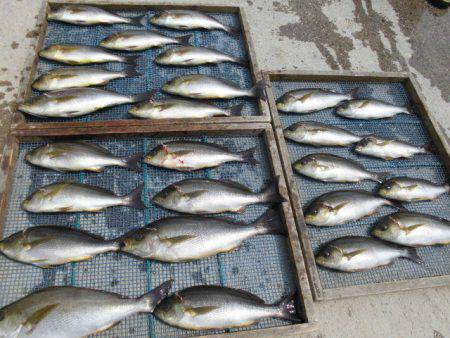 大進丸（愛知） 釣果