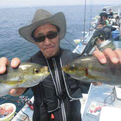 大進丸（愛知） 釣果