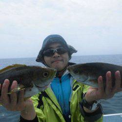 大進丸（愛知） 釣果