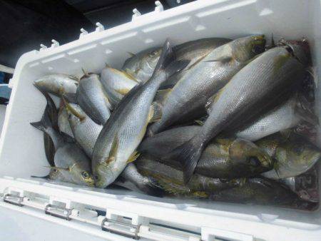 大進丸（愛知） 釣果