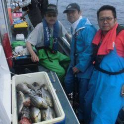 大進丸（愛知） 釣果