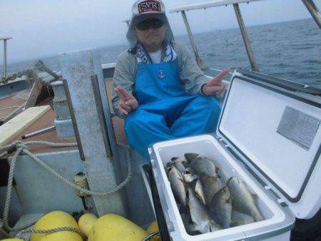 大進丸（愛知） 釣果