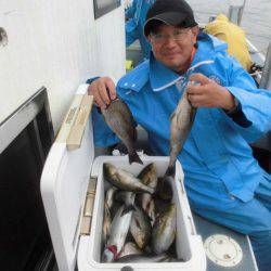 大進丸（愛知） 釣果