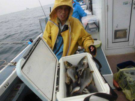 大進丸（愛知） 釣果