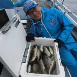 大進丸（愛知） 釣果
