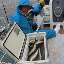 大進丸（愛知） 釣果