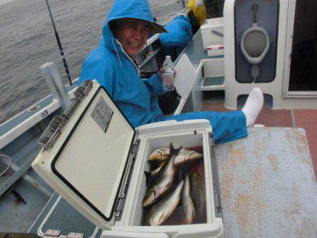 大進丸（愛知） 釣果