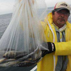 大進丸（愛知） 釣果