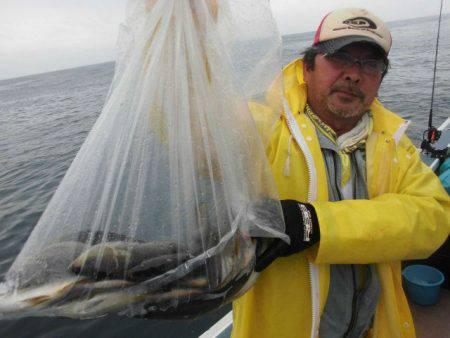 大進丸（愛知） 釣果