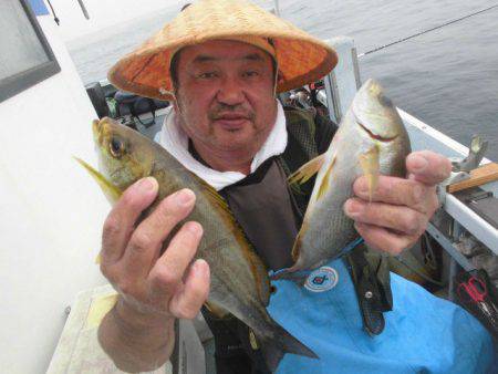 大進丸（愛知） 釣果