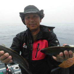 大進丸（愛知） 釣果