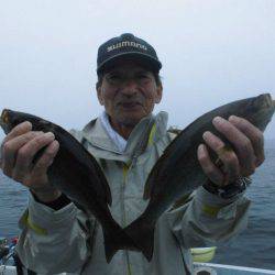 大進丸（愛知） 釣果