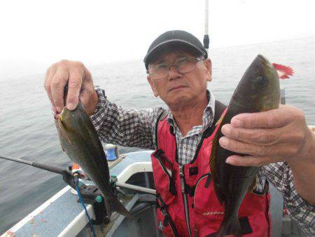 大進丸（愛知） 釣果