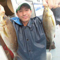 大進丸（愛知） 釣果