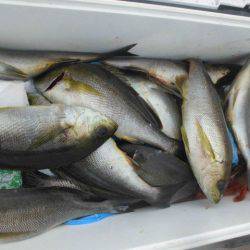 大進丸（愛知） 釣果