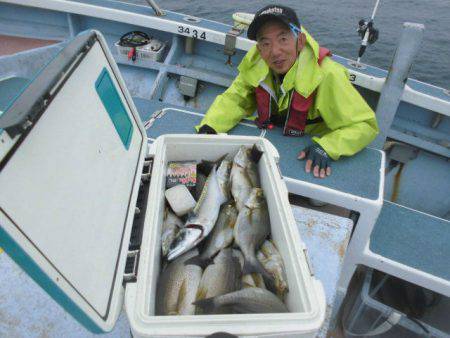 大進丸（愛知） 釣果