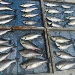 大進丸（愛知） 釣果