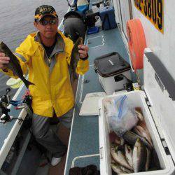 大進丸(愛知) 釣果