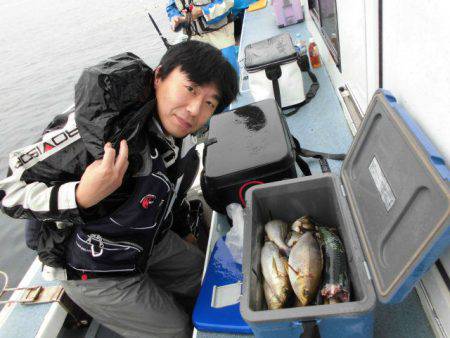 大進丸(愛知) 釣果