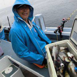大進丸(愛知) 釣果