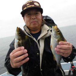 大進丸(愛知) 釣果