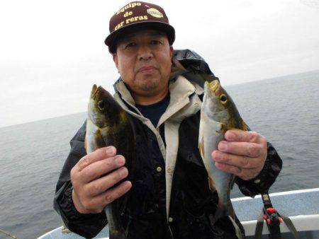 大進丸(愛知) 釣果