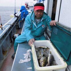 大進丸(愛知) 釣果