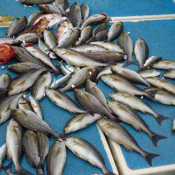 十八宝洋丸 釣果