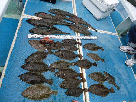 十八宝洋丸 釣果