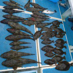 十八宝洋丸 釣果