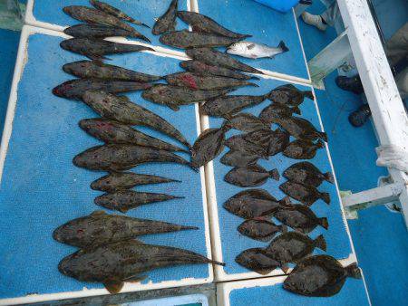 十八宝洋丸 釣果