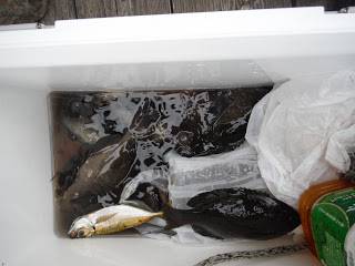 バラモン1号 釣果