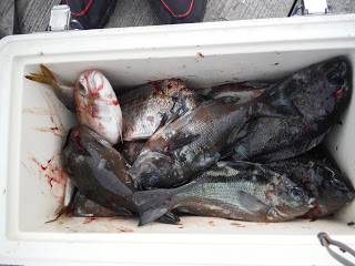 バラモン1号 釣果