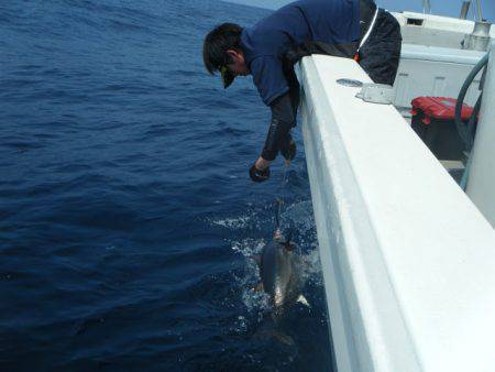 凪紗丸 釣果
