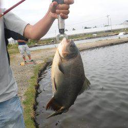 浜名湖フィッシングリゾート 釣果