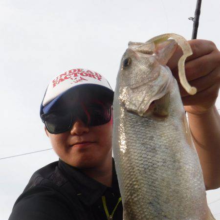 浜名湖フィッシングリゾート 釣果