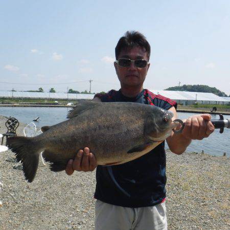 浜名湖フィッシングリゾート 釣果