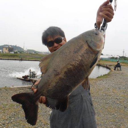 浜名湖フィッシングリゾート 釣果