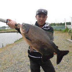 浜名湖フィッシングリゾート 釣果