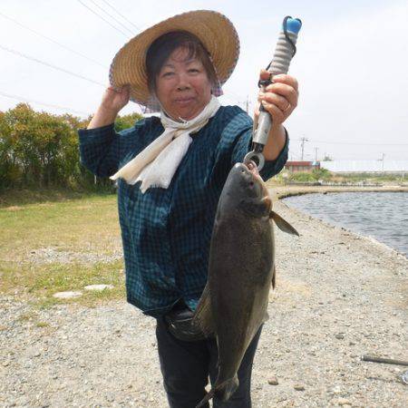 浜名湖フィッシングリゾート 釣果