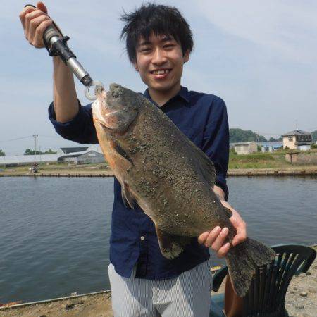 浜名湖フィッシングリゾート 釣果